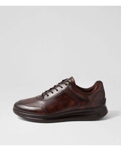 Ecco 207124 Aquet Ek Leather Shoes - Brown