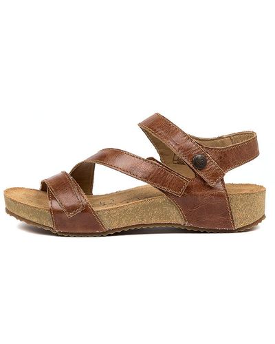 Josef Seibel Tonga 25 Leather Sandals - Brown