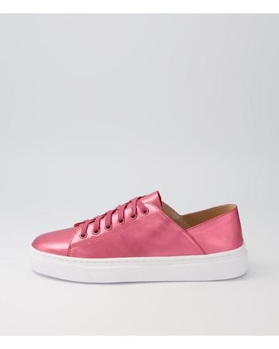 MOLLINI Oskher Leather Trainers - Pink