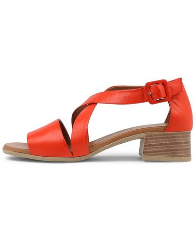 Diana Ferrari Tweet Df Leather Sandals - Multicolour