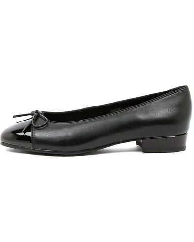Ara Bari 08 Leather Shoes - Black