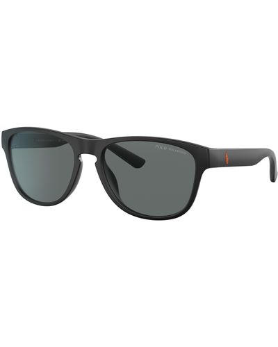 Polo Ralph Lauren Sunglasses Ph4180u - Black