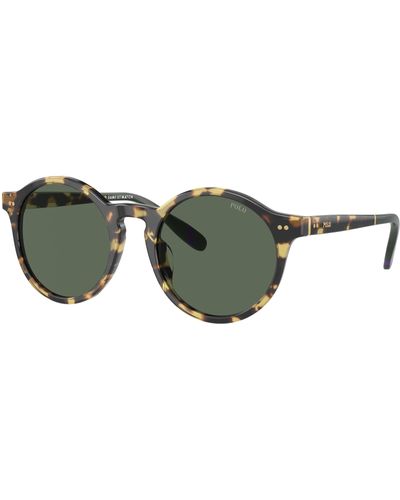 Polo Ralph Lauren Sunglass PH4204U - Vert