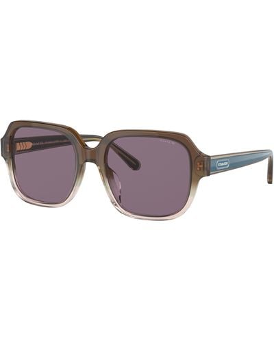 COACH Hc8335u Universal Fit Sunglasses - Black