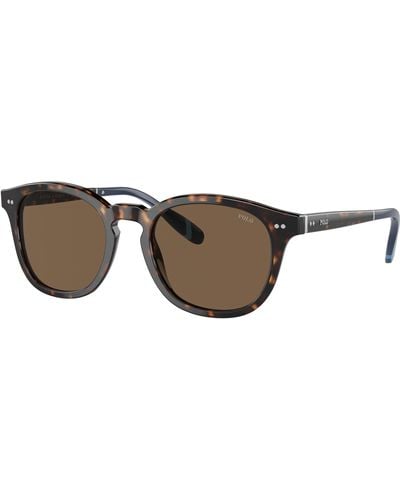 Polo Ralph Lauren Ph4206 Sunglasses - Black