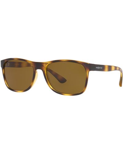 Sunglass Hut Collection Sunglasses Hu2020 - Black