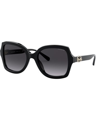 COACH Hc8295 Sunglasses - Black