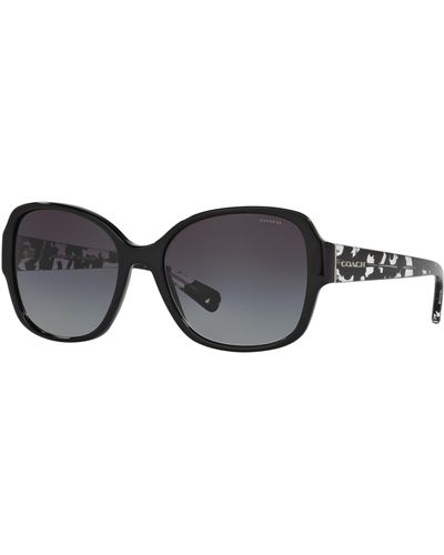 COACH Sunglasses Hc 8166 534811 L154 Black Gray Gradient
