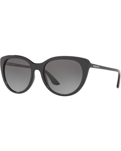 Sunglass Hut Collection Sunglasses Hu2016 - Black