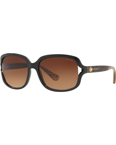 COACH Hc8169 Sunglasses - Black