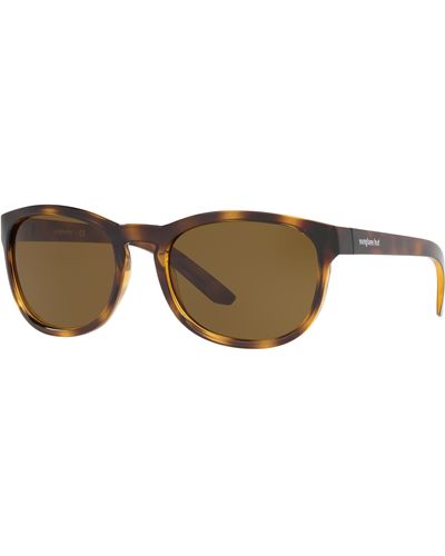 Sunglass Hut Collection Sunglasses Hu2015 - Black