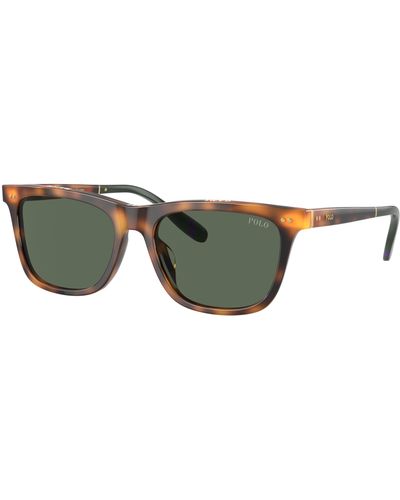 Polo Ralph Lauren Sunglass Ph4205u - Black