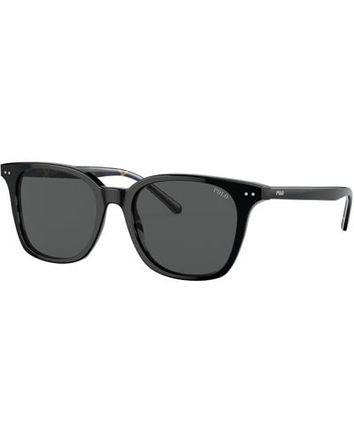 Polo Ralph Lauren Sunglasses Ph4187 - Black