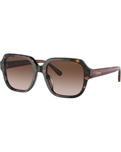 COACH Hc8335u Universal Fit Sunglasses - Black