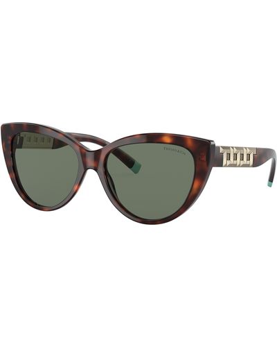 Tiffany & Co. Sunglasses Tf4196 - Black