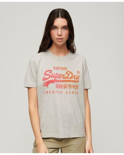 Superdry Tonal Graphic Relaxed T-shirt - Gray