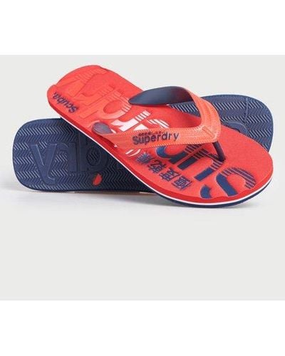 Superdry Classic Logo Teenslippers - Rood