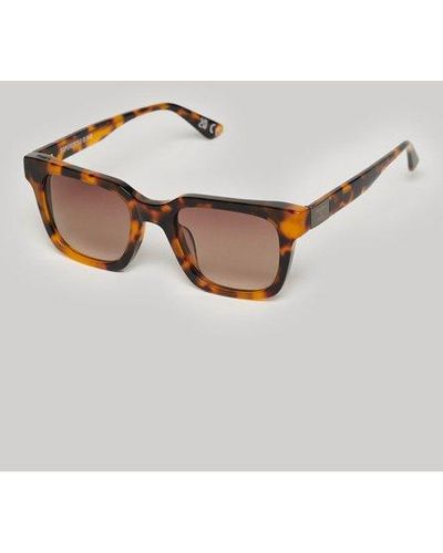 Superdry Pour des s logo imprimé lunettes de soleil sdr garritsen - Marron