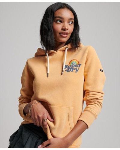 Superdry Classic Embroidered Graphic Vintage Rainbow Hoodie - Brown