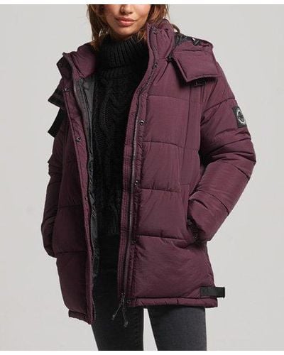 Superdry Expedition Cocoon Padded Coat - Purple