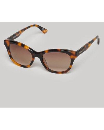 Superdry Classic Tortoiseshell Print Sdr Britanny Sunglasses - Metallic