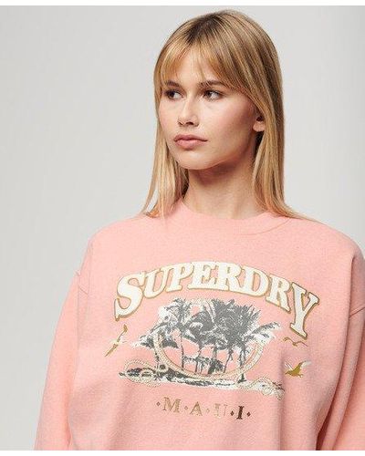 Superdry Travel Souvenir Sweatshirt Met Losse Pasvorm - Bruin
