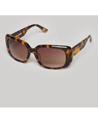 Superdry Classic Tortoiseshell Print Sdr Dunaway Sunglasses - Brown