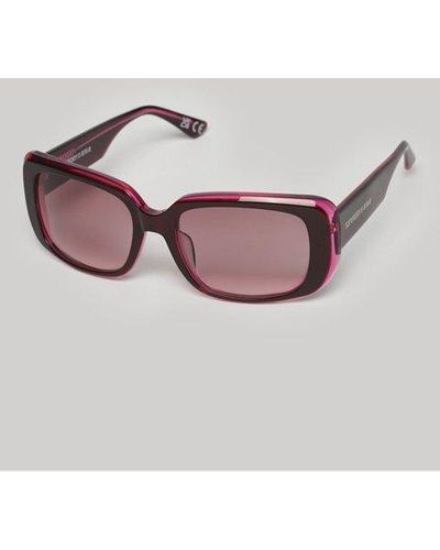 Superdry Classic Brand Print Sdr Dunaway Sunglasses - Pink
