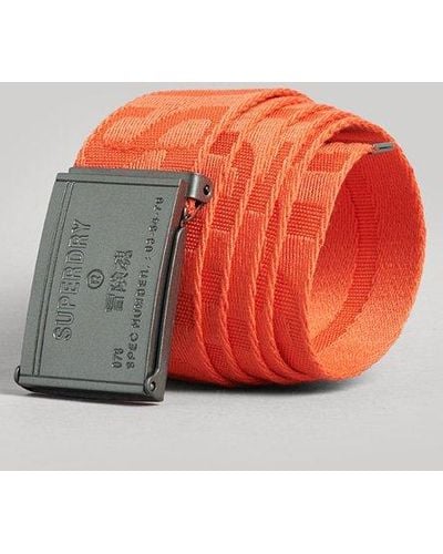 Superdry Webbing Belt - Orange