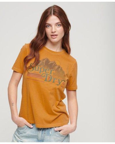 Superdry Outdoor Stripe Graphic T-shirt - Oranje