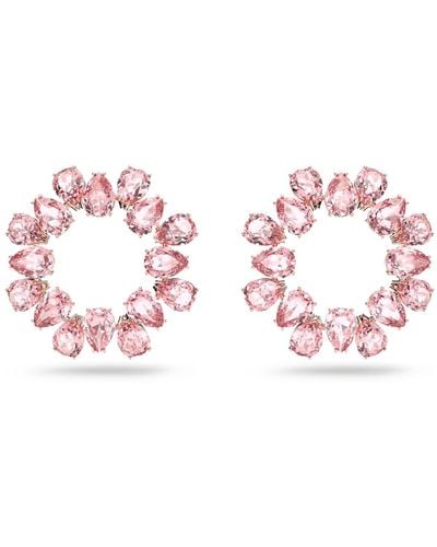 Swarovski Millenia Hoop Earrings - Pink