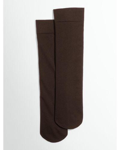 Talbots Microfiber Trouser Socks - Brown