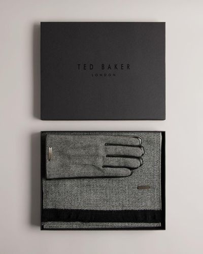 Ted Baker Coffret Écharpe et gants - Gris