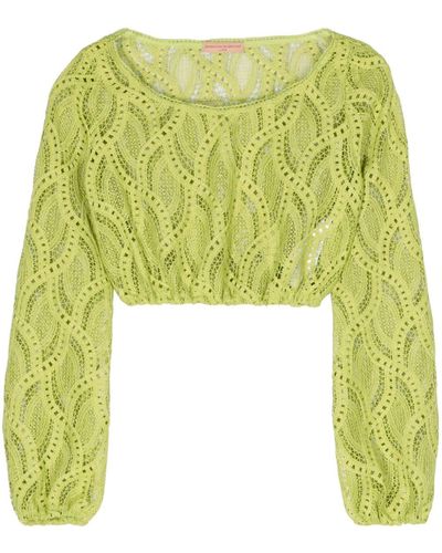 Ermanno Scervino Embroidered Cropped Top - Green