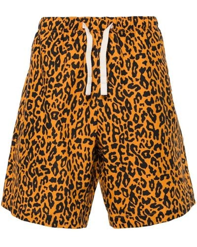 Palm Angels Leopard-Print Poplin Shorts - Yellow
