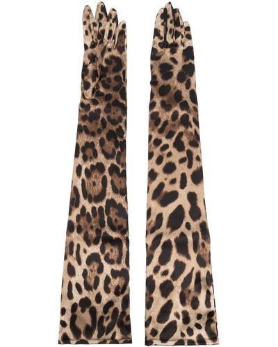 Dolce & Gabbana Leopard Print Silk Gloves - Brown