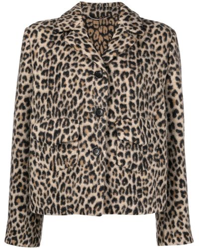 Ermanno Scervino Leopard-print Single-breasted Blazer - Black
