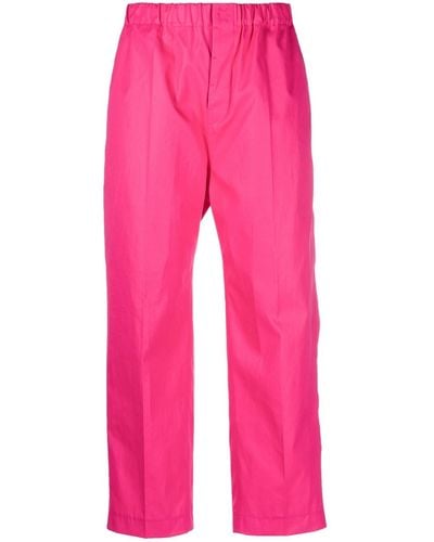 Sofie D'Hoore Classic Trousers - Pink
