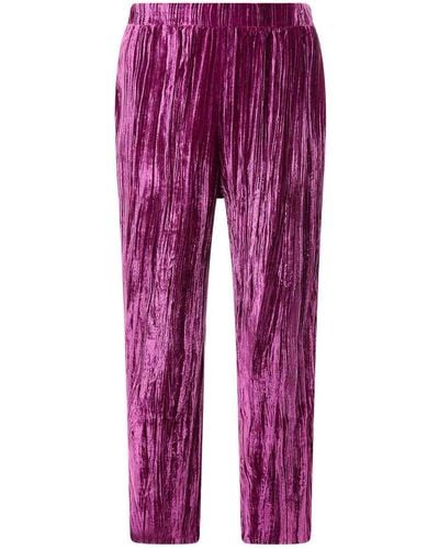 SLEEP NO MORE Cloqu Velvet Pajamas Trouser - Purple