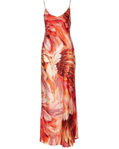 Roberto Cavalli Plumage Print Dress - Red