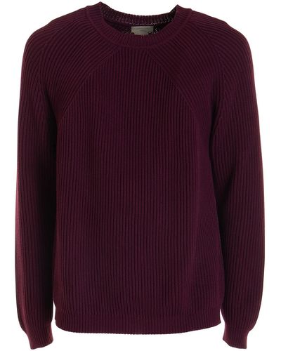 Corneliani Sweater - Purple