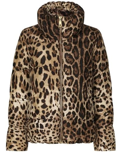 Dolce & Gabbana Padded Leopard-Print Nylon Jacket - Brown