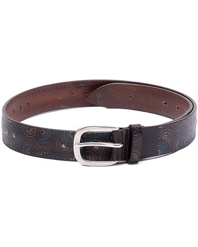 Orciani Spiral Sports Belt - Brown