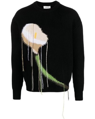 Lanvin Calla Cashmere-wool Sweater - Black