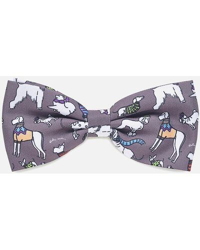 Radley Printed Dog Bow Tie - Purple
