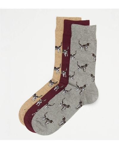 Barbour Pointer Dog Socks Gift Box - Gray