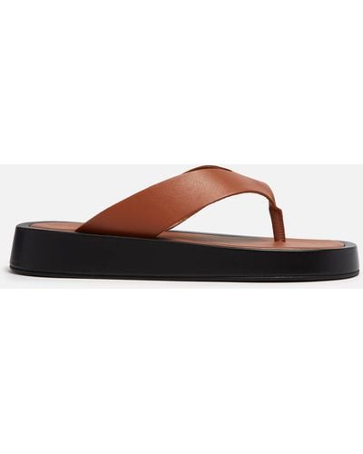 Alohas Overcast Leather Sandals - Braun
