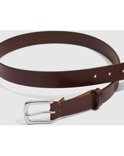 Country Road Leather Chino Belt - Brown