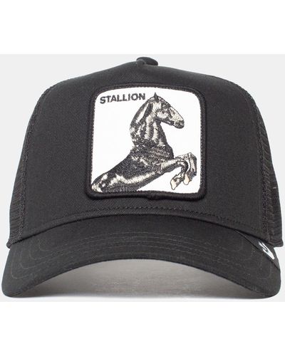 Goorin Bros The Stallion - Black