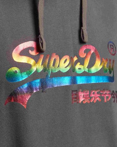 Superdry Rainbow Graphic Logo Hoodie - Grey